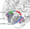 Effective connectivity in brain