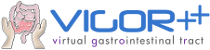 VIGOR++ logo